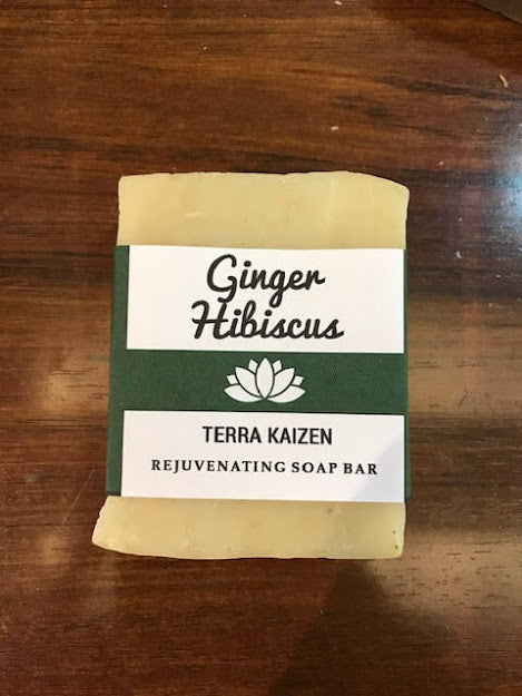 Ginger Hibiscus ORGANIC Soap Bar