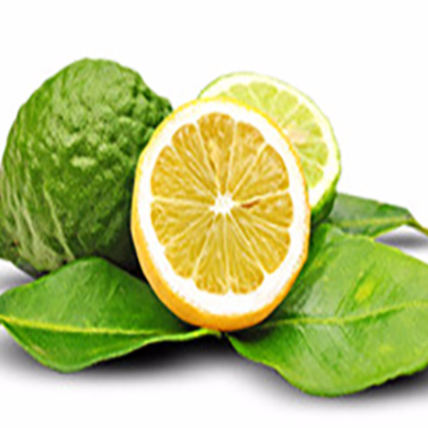 Bergamot Essential Oil