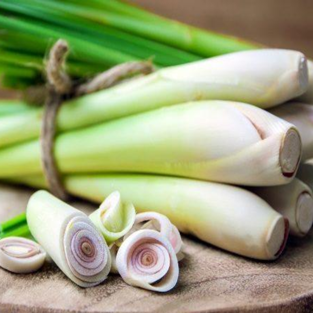 Lemongrass Essential Oil