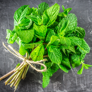 Peppermint Essential Oil