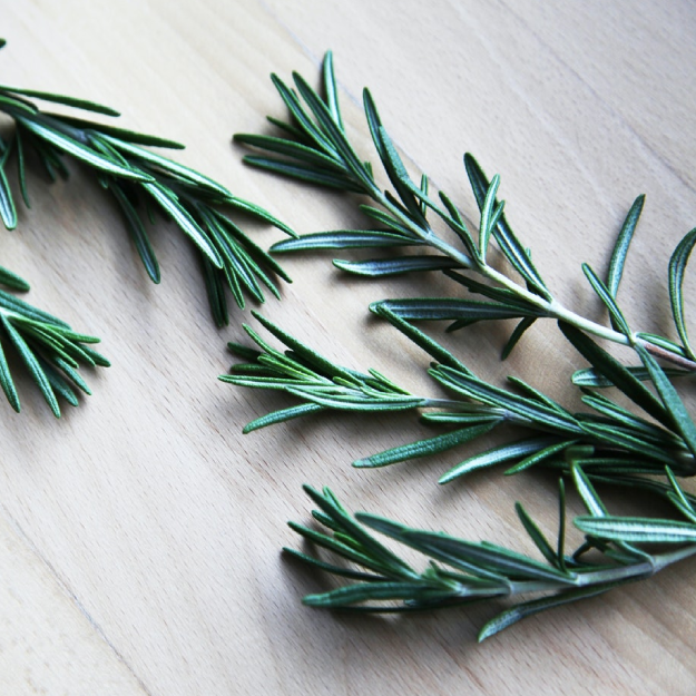 Rosemary Essential Oil